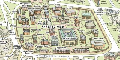 Mapa de la universidad de Harvard
